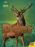Cover: Deer - Av2
