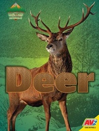 Enlarge image Cover: Deer - Av2