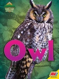 Cover: Owl - Av2