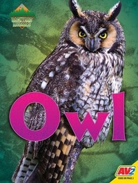 Enlarge image Cover: Owl - Av2