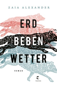 Abbildung von: Erdbebenwetter - Tropen