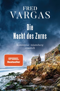 Abbildung von: Die Nacht des Zorns - Blanvalet