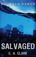 Cover: Salvaged - Deadset Press