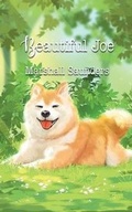 Cover: Beautiful Joe - iBoo Press House