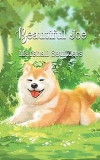 Enlarge image Cover: Beautiful Joe - iBoo Press House