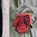 Cover: Herzliche Anteilnahme - Neue Stadt