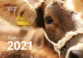 Cover: Kuh-Kalender 2021 - Hephaistos