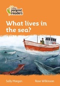 Cover: What lives in the sea? - Collins