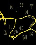 Cover: Night Blooms - Makina Books