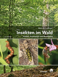 Abbildung von: Insekten im Wald - Haupt Verlag