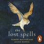 Cover: The Lost Spells - Hamish Hamilton Ltd