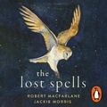 Cover: The Lost Spells - Hamish Hamilton Ltd