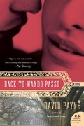 Cover: Back to Wando Passo - HarperCollins