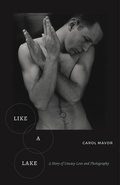 Cover: Like a Lake - Fordham University Press