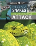 Cover: Predator vs Prey: How Snakes and other Reptiles Attack - Wayland