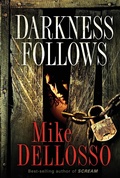 Cover: Darkness Follows - Realms