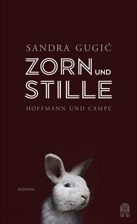 Abbildung von: Zorn und Stille - Hoffmann & Campe