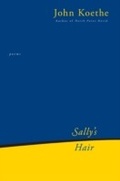 Cover: Sally's Hair - HarperCollins