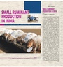 Cover: Small Ruminant Production in India - Satish Serial Publishing House