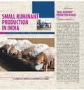 Cover: Small Ruminant Production in India - Satish Serial Publishing House