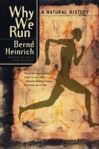 Abbildung von: Why We Run - Ecco