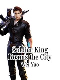 Cover: Soldier King Roams the City - Funstory