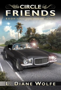 Enlarge image Cover: The Circle of Friends - Dancing Lemur Press LLC