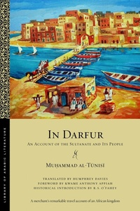 Abbildung von: In Darfur - New York University Press