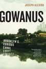 Cover: Gowanus - New York University Press