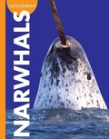 Cover: Curious about Narwhals - AMICUS INK
