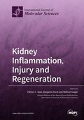 Cover: Kidney Inflammation, Injury and Regeneration - MDPI