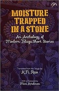 Cover: Moisture Trapped in a Stone - Niyogi Books