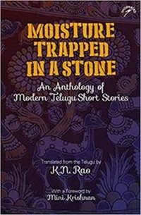 Enlarge image Cover: Moisture Trapped in a Stone - Niyogi Books