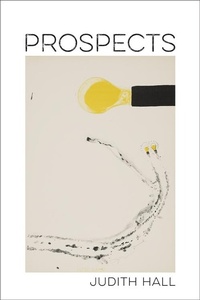 Enlarge image Cover: Prospects - Zando - Crooked Media Reads
