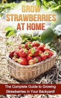 Cover: Grow Strawberries at Home - Ingram Publishing