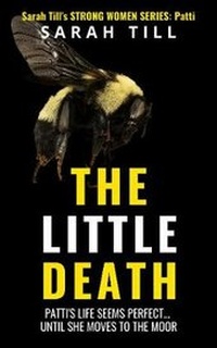 Enlarge image Cover: The Little Death - Novelesque