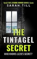 Cover: The Tintagel Secret - Novelesque