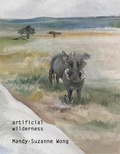 Cover: Artifical Wilderness - Selcouth Station
