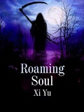 Cover: Roaming Soul - Funstory