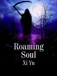 Enlarge image Cover: Roaming Soul - Funstory