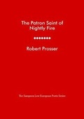 Cover: The Patron Saint of Nightly Fire - Sampson Low Ltd