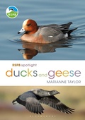 Cover: RSPB Spotlight Ducks and Geese - Bloomsbury Wildlife