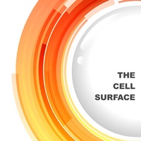 Abbildung von: The Cell Surface - Elsevier