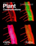Bild: Plant Communications - Elsevier