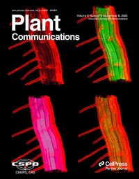 Bild: Plant Communications - Elsevier
