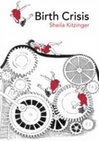 Abbildung von: Birth Crisis - Routledge