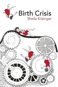 Abbildung von: Birth Crisis - Routledge