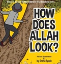 Cover: How Does Allah Look? - Little Moon Books