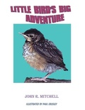 Cover: Little Bird's Big Adventure - Indy Pub