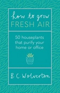Abbildung von: How To Grow Fresh Air - Orion Spring